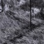 Alfombra de pelo largo NAVARRA gris oscuro 240x340 cm poliéster de , Alfombras - Ref: Foro24-4102856, Precio: 92,25 €, Descue...