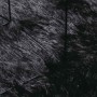 Alfombra peluda de pelo largo NAVARRA negra 240x340cm poliéster de , Alfombras - Ref: Foro24-4102854, Precio: 102,32 €, Descu...