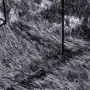 Alfombra de pelo largo NAVARRA gris oscuro 100x100 cm poliéster by , Rugs - Ref: Foro24-4102896, Price: 21,65 €, Discount: %
