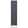 Leñero antracita 25x25x100 cm Acero laminado en frío von , Brennholztaschen und -halter - Ref: Foro24-864269, Preis: 52,56 €,...