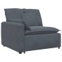 Sofá modular con cojines terciopelo gris oscuro by , Sofas - Ref: Foro24-3321329, Price: 957,09 €, Discount: %