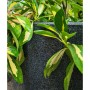 Capi Macetero Waste Smooth gris 43x41 cm by , Pots and planters - Ref: Foro24-442104, Price: 66,91 €, Discount: %