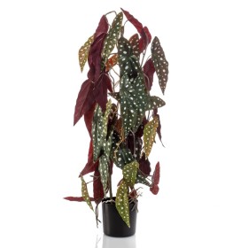 Emerald Begonia maculata artificial en maceta 75 cm von , Künstliche Flora - Ref: Foro24-444649, Preis: 41,22 €, Rabatt: %