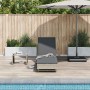 Tumbona con ruedas y cojín ratán sintético gris claro von , Liegen - Ref: Foro24-4104038, Preis: 170,04 €, Rabatt: %