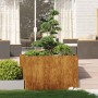 Jardinera oxidada 120x80x80 cm acero corten von , Töpfe und Pflanzgefäße - Ref: Foro24-860793, Preis: 135,51 €, Rabatt: %