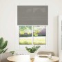 Pleated Anthracite Shade 100x150 cm Fabric Width 99.4 cm Polyester by , Blinds and blinds - Ref: Foro24-4015092, Price: 21,95...