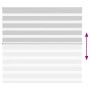 Light gray zebra curtain 155x150cm, fabric width 150.9cm, polyester. by , Blinds and blinds - Ref: Foro24-4014454, Price: 33,...