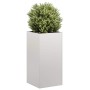 Jardinera 40x40x80 cm acero inoxidable de , Maceteros y jardineras - Ref: Foro24-860707, Precio: 98,95 €, Descuento: %