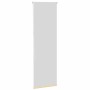 Blickdichtes beige Rolloblind 55x130 cm Stoffbreite 50,7 cm von , Jalousien und Jalousien - Ref: Foro24-4010703, Preis: 18,28...