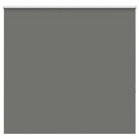 Estor Enrollable Opaco gris 165x175 cm Tela Ancho 161,6 cm by , Blinds and blinds - Ref: Foro24-4011167, Price: 40,17 €, Disc...