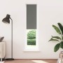 Estor Enrollable Opaco gris 55x210 cm Tela Ancho 50,7 cm von , Jalousien und Jalousien - Ref: Foro24-4011171, Preis: 24,81 €,...