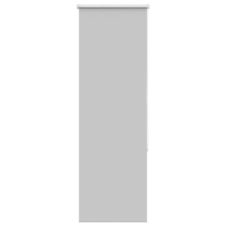 Estor Enrollable Opaco gris claro 55x150 cm Tela Ancho 50,7 cm by , Blinds and blinds - Ref: Foro24-4011379, Price: 16,64 €, ...