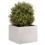Pflanzgefäß 40x40x30 cm aus Edelstahl von , Töpfe und Pflanzgefäße - Ref: Foro24-860798, Preis: 54,41 €, Rabatt: %