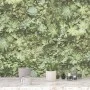 Evergreen Green and Beige Succulent Wallpaper by Noordwand, Painted paper - Ref: Foro24-434273, Price: 28,34 €, Discount: %