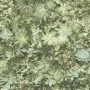 Evergreen Green and Beige Succulent Wallpaper by Noordwand, Painted paper - Ref: Foro24-434273, Price: 28,34 €, Discount: %
