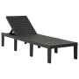 Anthrazitgraue Sonnenliege aus Kunststoff von vidaXL, Liegen - Ref: Foro24-315827, Preis: 146,30 €, Rabatt: %