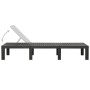 Anthrazitgraue Sonnenliege aus Kunststoff von vidaXL, Liegen - Ref: Foro24-315827, Preis: 146,30 €, Rabatt: %