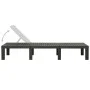 Anthrazitgraue Sonnenliege aus Kunststoff von vidaXL, Liegen - Ref: Foro24-315827, Preis: 149,00 €, Rabatt: %