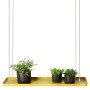 Esschert Design Hängende Pflanzenschale rechteckig gold L von , Dekorative Tabletts - Ref: Foro24-441018, Preis: 24,51 €, Rab...