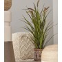 Smaragd Künstliches Schilfgras in Topf 100 cm von , Künstliche Flora - Ref: Foro24-444651, Preis: 53,64 €, Rabatt: %