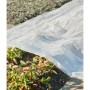 Nature Cobertor para plantas transparente 4x6 m 100µ de , Accesorios de jardinería - Ref: Foro24-446379, Precio: 29,27 €, Des...