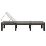 Liege mit anthrazitgrauem Kunststoffkissen von vidaXL, Liegen - Ref: Foro24-315829, Preis: 186,62 €, Rabatt: %