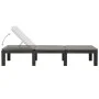 Liege mit anthrazitgrauem Kunststoffkissen von vidaXL, Liegen - Ref: Foro24-315829, Preis: 176,56 €, Rabatt: %