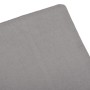 Liege mit anthrazitgrauem Kunststoffkissen von vidaXL, Liegen - Ref: Foro24-315829, Preis: 186,62 €, Rabatt: %