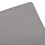 Liege mit anthrazitgrauem Kunststoffkissen von vidaXL, Liegen - Ref: Foro24-315829, Preis: 176,56 €, Rabatt: %