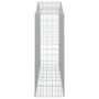 40 Stück Gabionenkörbe in Bogenform aus Eisen 200x50x140/160 cm. von , Töpfe und Pflanzgefäße - Ref: Foro24-3145700, Preis: 3...