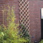 Natur Gartenzaun 70x180 cm Bambus 6040721 von , Pergolen, Bögen und Gartenspaliere - Ref: Foro24-409344, Preis: 37,23 €, Raba...