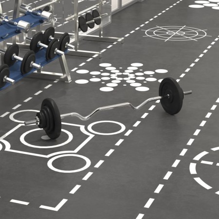 Barbell set with 30 kg cast iron and chrome-plated steel discs. by , free weight - Ref: Foro24-93629, Price: 122,55 €, Discou...