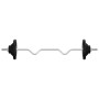 Barbell set with 30 kg cast iron and chrome-plated steel discs. by , free weight - Ref: Foro24-93629, Price: 122,55 €, Discou...