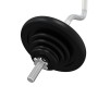 Barbell set with 30 kg cast iron and chrome-plated steel discs. by , free weight - Ref: Foro24-93629, Price: 122,55 €, Discou...
