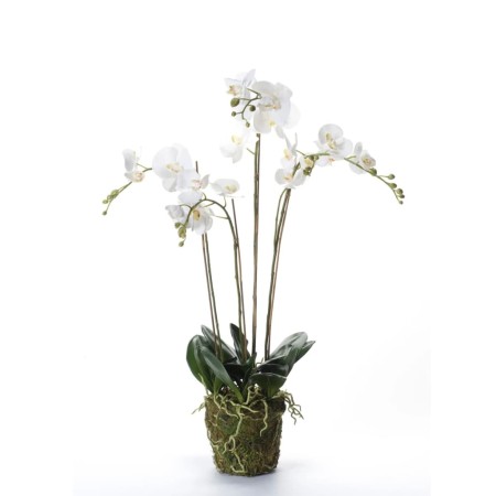 Smaragd Künstliche Orchidee mit weißem Moos 90 cm 20.355 von , Künstliche Flora - Ref: Foro24-414484, Preis: 134,41 €, Rabatt: %