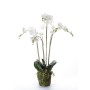 Smaragd Künstliche Orchidee mit weißem Moos 90 cm 20.355 von , Künstliche Flora - Ref: Foro24-414484, Preis: 134,41 €, Rabatt: %