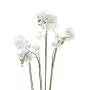 Smaragd Künstliche Orchidee mit weißem Moos 90 cm 20.355 von , Künstliche Flora - Ref: Foro24-414484, Preis: 134,41 €, Rabatt: %