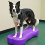 FitPAWS Balanceplattform für Haustiere Giant K9FITbone aus lila PVC von , Trainingsgeräte für Haustiere - Ref: Foro24-428431,...