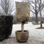 Natur Schutzhülle für Pflanzen gegen Frost aus natürlicher Jute 230 g/m² 0,75x1 m von , Gartenzubehör - Ref: Foro24-434645, P...