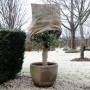 Natur Schutzhülle für Pflanzen gegen Frost aus natürlicher Jute 230 g/m² 0,75x1 m von , Gartenzubehör - Ref: Foro24-434645, P...