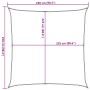 Klare grüne HDPE-Segelmarkise 160 g/m² 2,5x2,5 m von , Sonnenschirme - Ref: Foro24-311273, Preis: 24,05 €, Rabatt: %