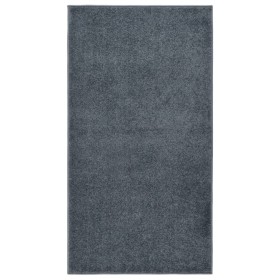 Kurzer anthrazitgrauer Teppich 80x150 cm von , Teppiche - Ref: Foro24-340305, Preis: 33,81 €, Rabatt: %