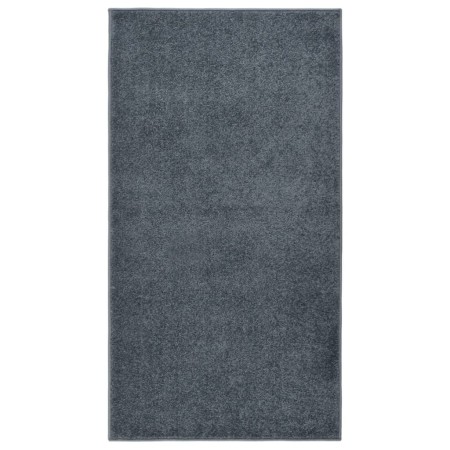 Alfombra de pelo corto gris antracita 80x150 cm de , Alfombras - Ref: Foro24-340305, Precio: 34,49 €, Descuento: %