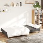 Sofá cama de 2 plazas terciopelo gris oscuro von , Sofas - Ref: Foro24-375733, Preis: 239,63 €, Rabatt: %