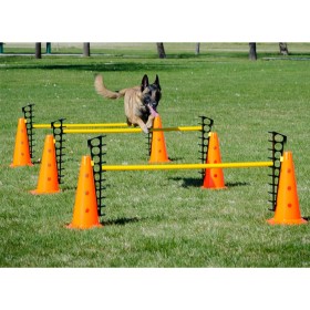 FitPAWS Juego de obstáculos by , Pet Exercise Equipment - Ref: Foro24-433823, Price: 192,77 €, Discount: %
