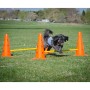 FitPAWS Hindernisspiel von , Trainingsgeräte für Haustiere - Ref: Foro24-433823, Preis: 191,46 €, Rabatt: %