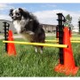 FitPAWS Juego de obstáculos by , Pet Exercise Equipment - Ref: Foro24-433823, Price: 192,77 €, Discount: %