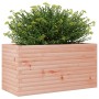 Douglasie Pflanzgefäß aus Massivholz 90x40x46 cm von , Töpfe und Pflanzgefäße - Ref: Foro24-3282447, Preis: 133,58 €, Rabatt: %