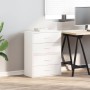 Armarios con 2 cajones 2 uds blanco 60x31x40 cm de , Cajoneras - Ref: Foro24-858822, Precio: 81,37 €, Descuento: %