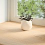 Alféizares de ventana 2 uds madera maciza roble sin tratar by , Marcos de ventanas - Ref: Foro24-4009119, Price: 83,76 €, Dis...